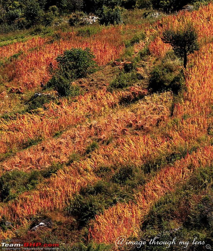 Nandikund Trek: Quest through the Garhwal Himalayas-urugam-7331.jpg