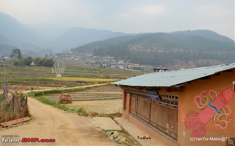 Alto'ed: Blessed in Bhutan-dsc_2356.jpg