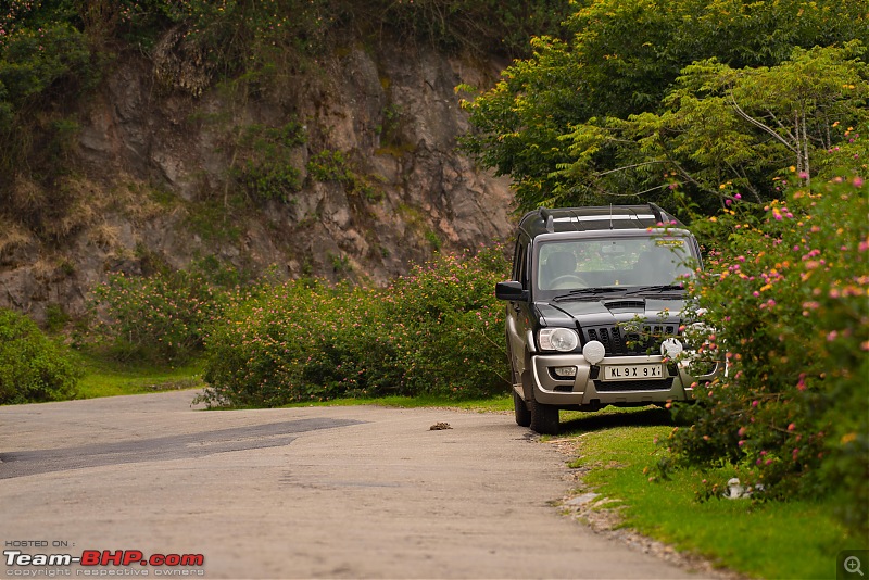 Munnar: Fresh air, Green hills and some birds-_dsc347522.jpg