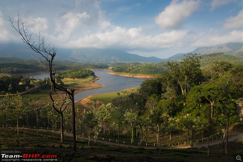 Munnar: Fresh air, Green hills and some birds-_dsc4190.jpg