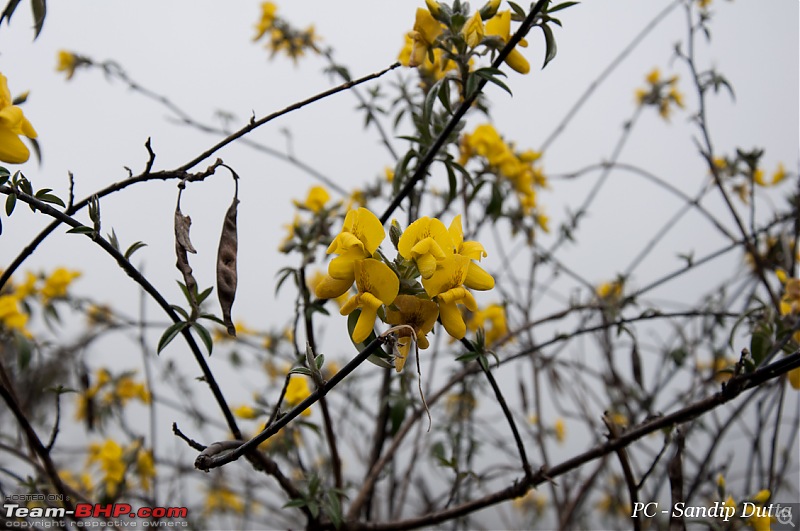 Kolkata to North Sikkim - Drive to relive the golden pages of my diary-dsc_0379.jpg