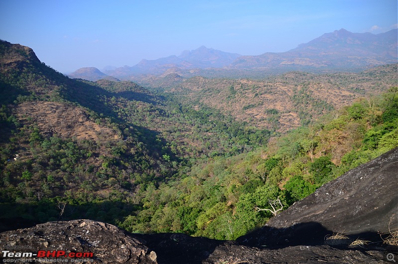 Exploring the Western Ghats in Kerala & Tamil Nadu-dsc_6046.jpg