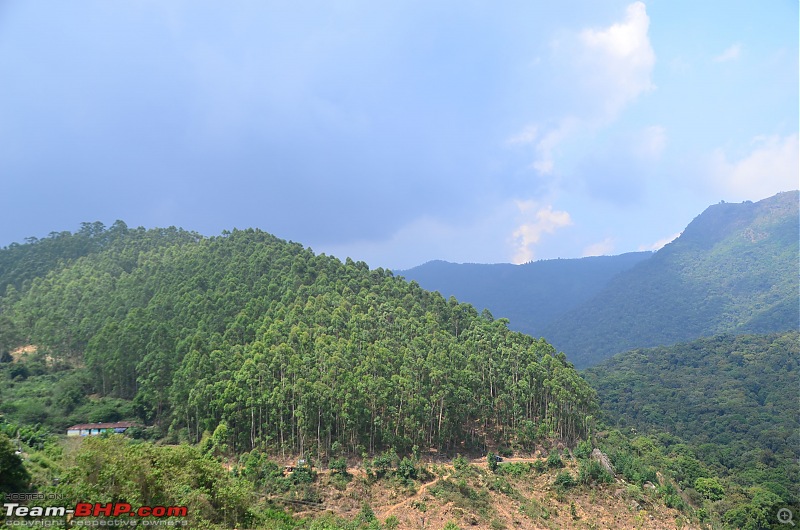 Exploring the Western Ghats in Kerala & Tamil Nadu-dsc_6217.jpg