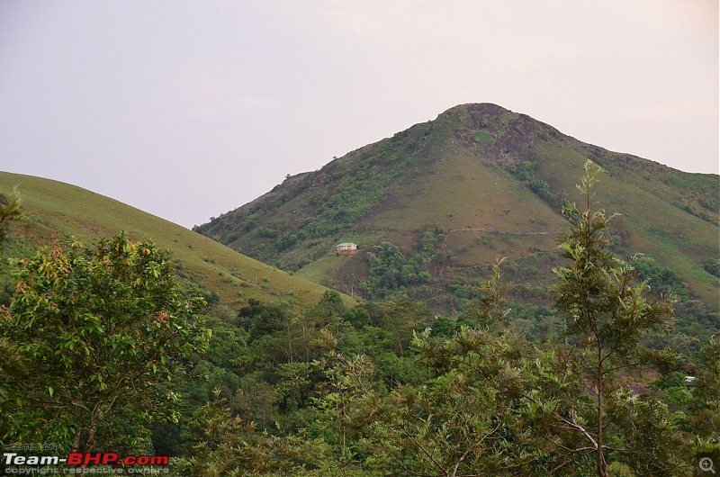 Exploring the Western Ghats in Kerala & Tamil Nadu-dsc_6404.jpg