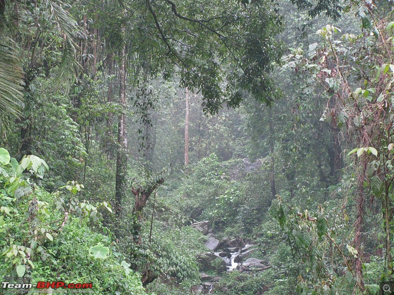 Paren - A li'l wonderland along the Indo-Bhutan border (West Bengal)-img_6255.jpg