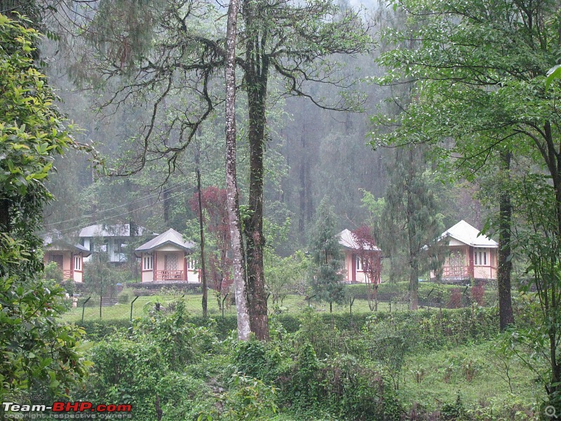 Paren - A li'l wonderland along the Indo-Bhutan border (West Bengal)-img_6302.jpg