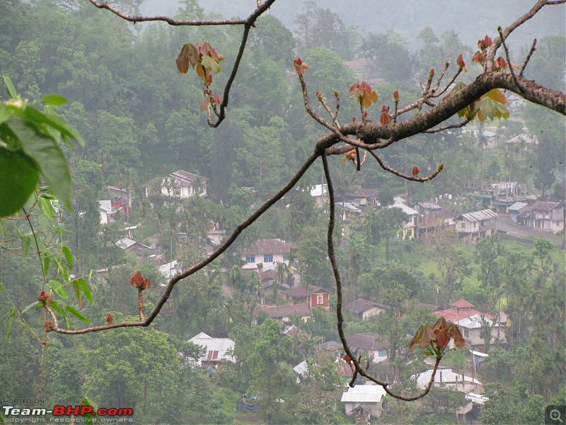 Paren - A li'l wonderland along the Indo-Bhutan border (West Bengal)-img_6362.jpg