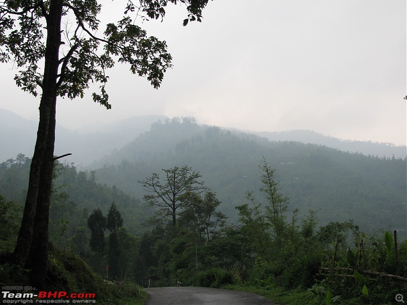Paren - A li'l wonderland along the Indo-Bhutan border (West Bengal)-img_6369.jpg