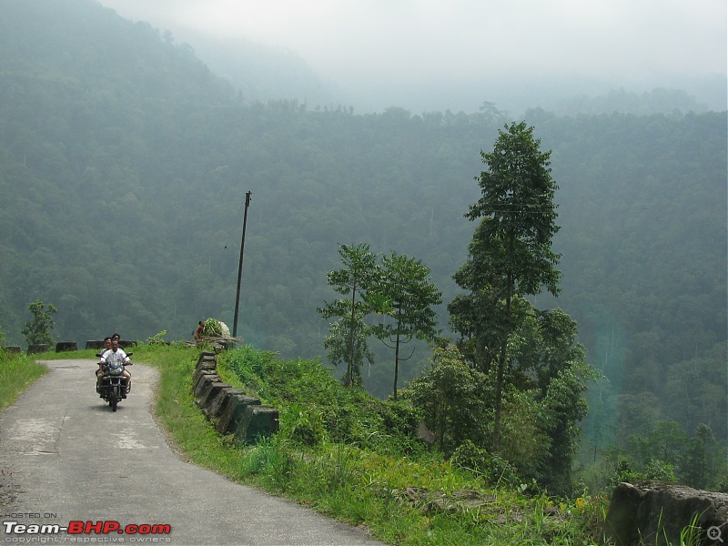 Paren - A li'l wonderland along the Indo-Bhutan border (West Bengal)-img_6432.jpg