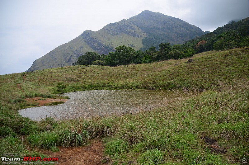 Exploring the Western Ghats in Kerala & Tamil Nadu-dsc_6820.jpg