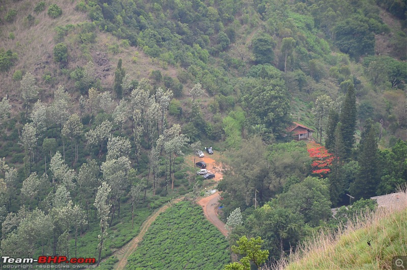 Exploring the Western Ghats in Kerala & Tamil Nadu-dsc_6867.jpg