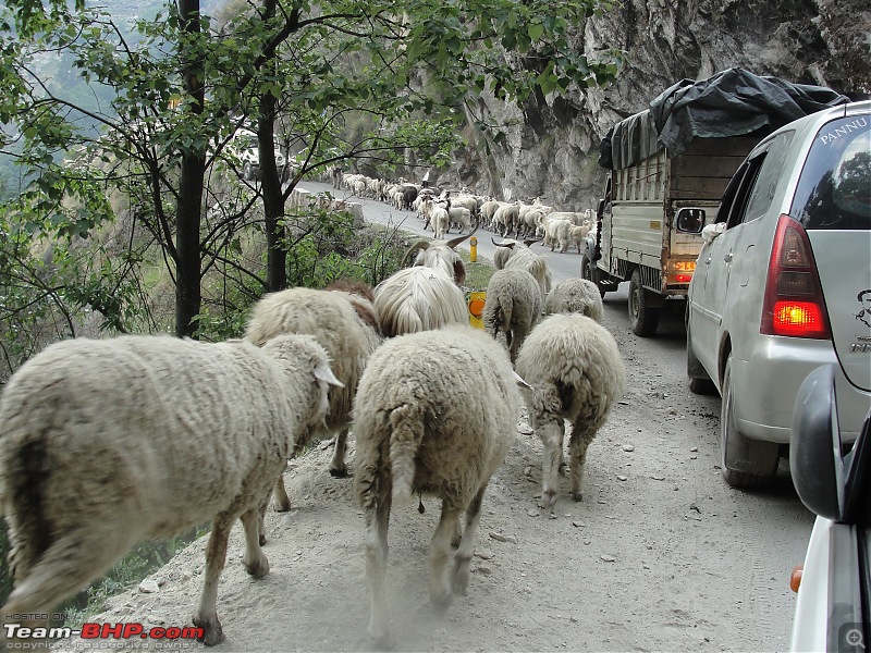 Uttarakhand calling: Trip to Yamunotri & Gangotri in a hatchback-1-28.jpg