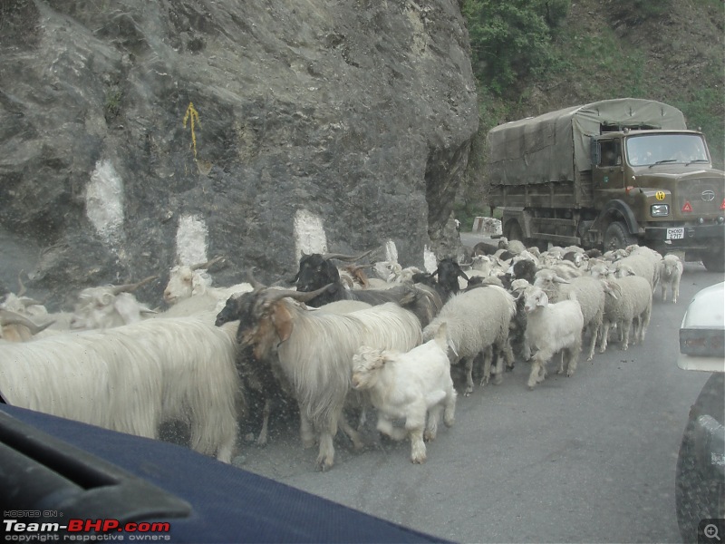 Uttarakhand calling: Trip to Yamunotri & Gangotri in a hatchback-1-30.jpg