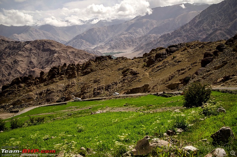 Ladakh: Better Leh'd than never. EDIT: Part 2 on page 3-dsc_3519.jpg