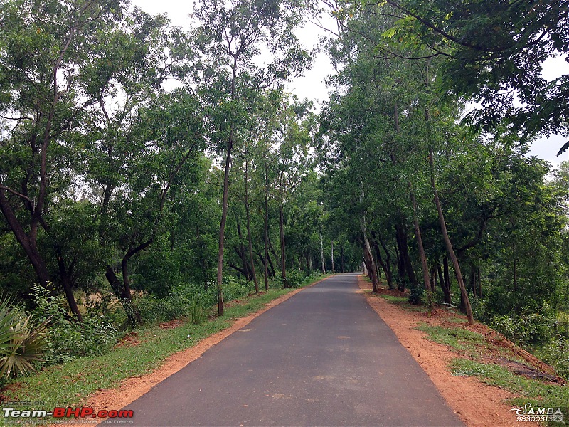 Ecstatic Bhutan and lush green Dooars in a Toyota Etios-ip-9.jpg