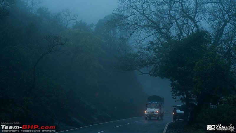Rain, Fog & Greenery  A Maharashtrian Monsoon Tale!-dsc_3989.jpg