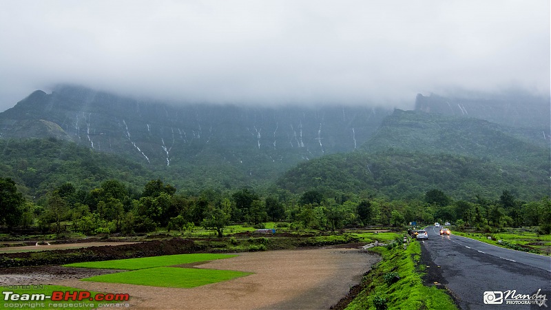 Rain, Fog & Greenery  A Maharashtrian Monsoon Tale!-dsc_4919.jpg
