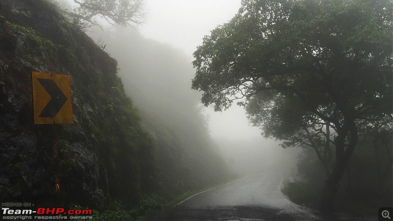 Rain, Fog & Greenery  A Maharashtrian Monsoon Tale!-img_2261.jpg