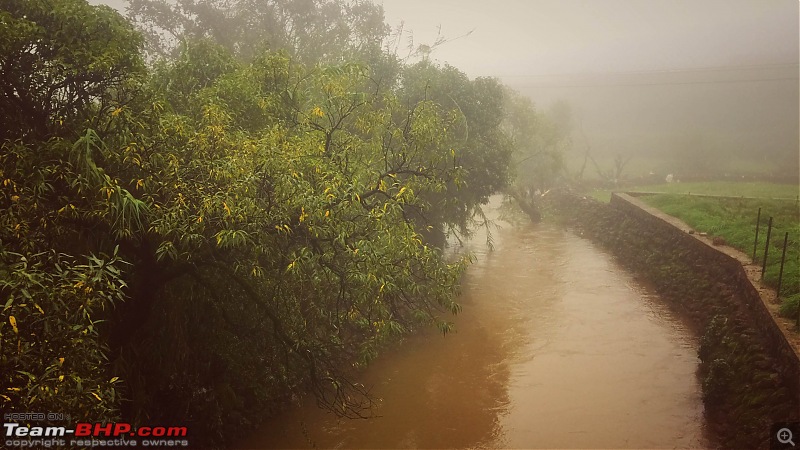 Rain, Fog & Greenery  A Maharashtrian Monsoon Tale!-img_2201.jpg