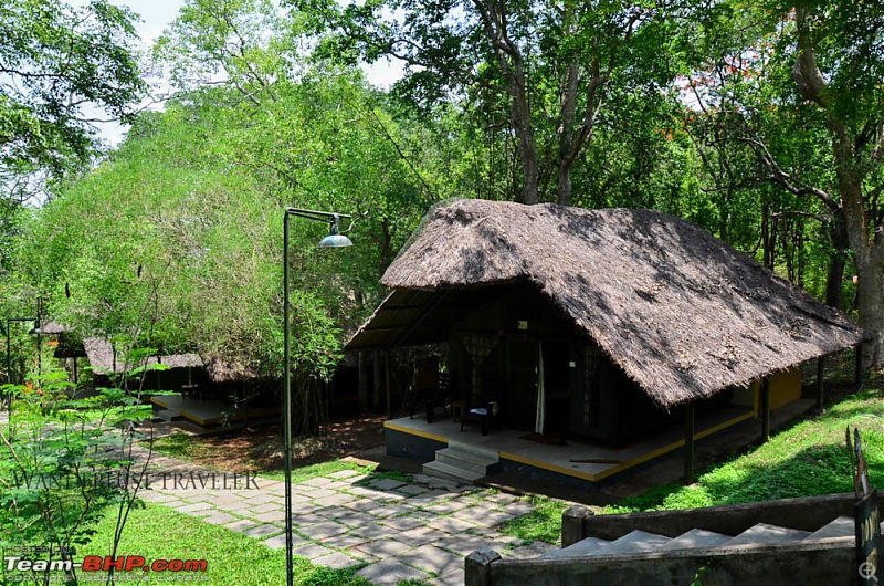 Wanderlust Traveler: Jungle lodges @ Kabini and Nagarahole National Park-suh_5487.jpg