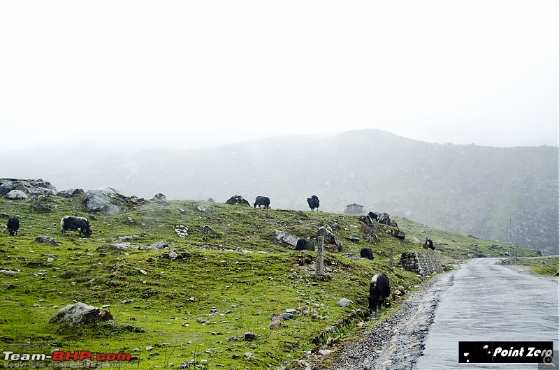 Sikkim: Long winding road to serenity, the game of clouds & sunlight-tkd_0816.jpg