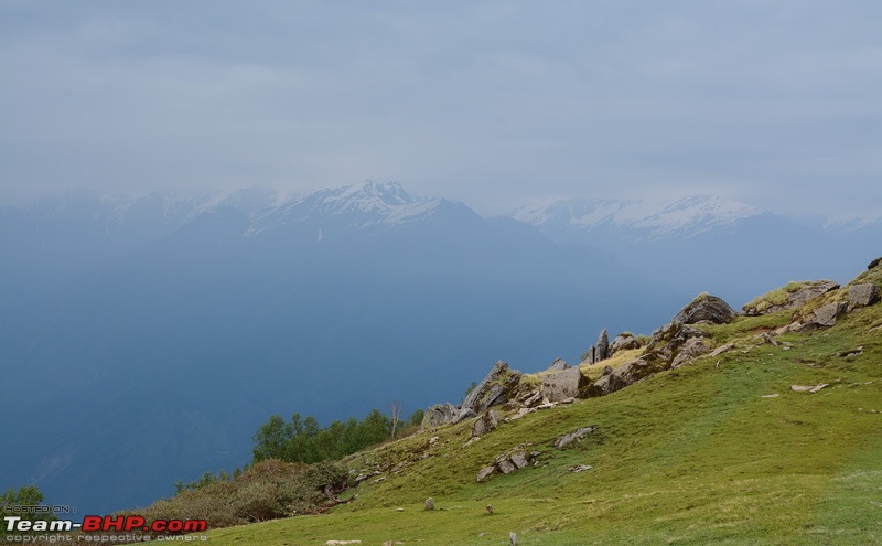 A Magical Afternoon: Munsiyari Bugyal-dsc_2768.jpg