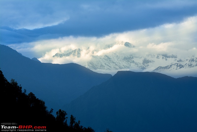 A Magical Afternoon: Munsiyari Bugyal-dsc_2988.jpg