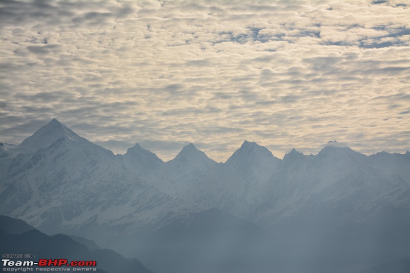 A Magical Afternoon: Munsiyari Bugyal-dsc_3107.jpg