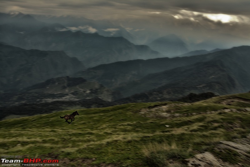 A Magical Afternoon: Munsiyari Bugyal-dsc_2705_small.jpg