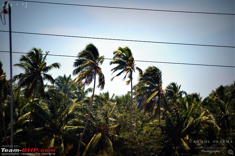 Tour de Kerala: A 5-day holiday-dsc_3010.jpg