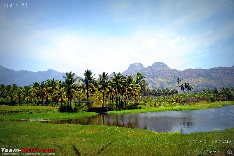 Tour de Kerala: A 5-day holiday-dsc_3016.jpg