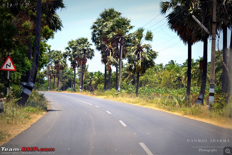 Tour de Kerala: A 5-day holiday-dsc_3048.jpg