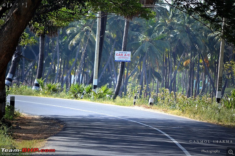 Tour de Kerala: A 5-day holiday-dsc_3281.jpg