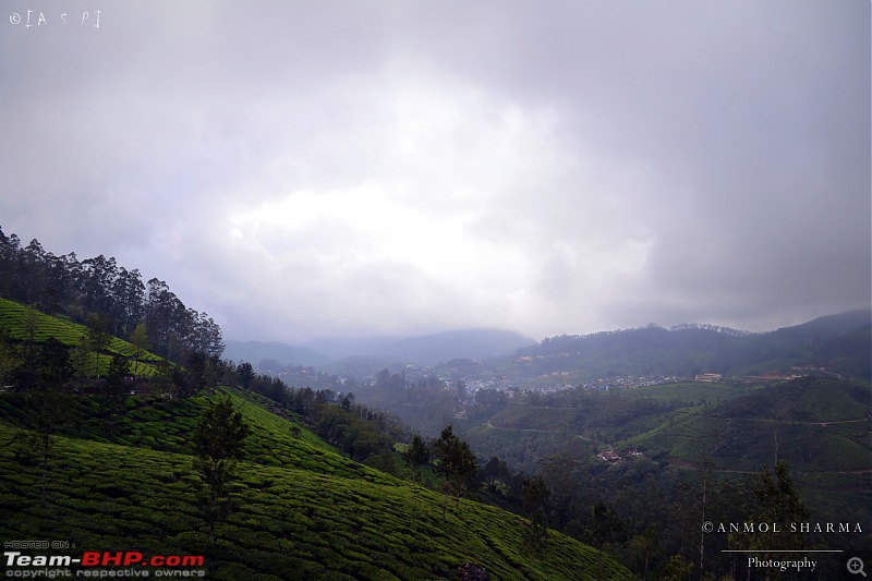 Tour de Kerala: A 5-day holiday-dsc_3612.jpg