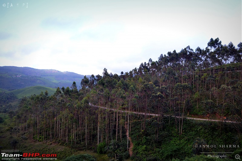 Tour de Kerala: A 5-day holiday-dsc_3682.jpg