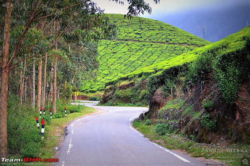 Tour de Kerala: A 5-day holiday-dsc_3758.jpg