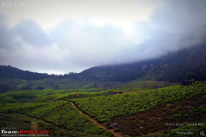 Tour de Kerala: A 5-day holiday-dsc_3767.jpg