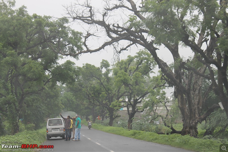 Polo forest, Gujarat: A Janmashtami in the rains-28.jpg