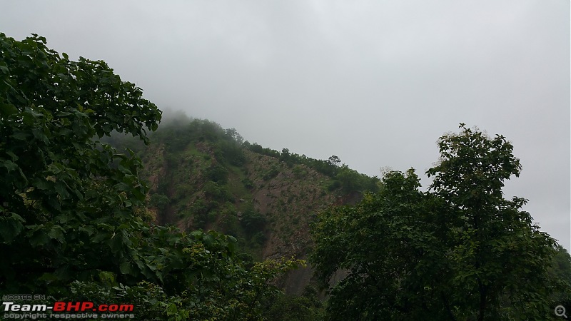 Polo forest, Gujarat: A Janmashtami in the rains-44.jpg