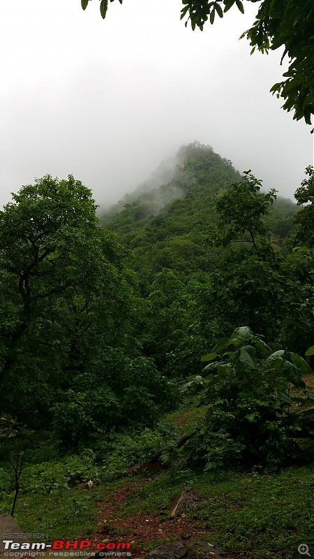 Polo forest, Gujarat: A Janmashtami in the rains-46.jpg