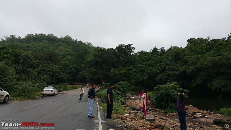 Polo forest, Gujarat: A Janmashtami in the rains-50.jpg