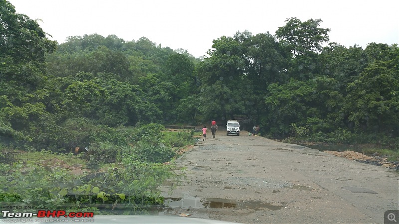 Polo forest, Gujarat: A Janmashtami in the rains-55.jpg