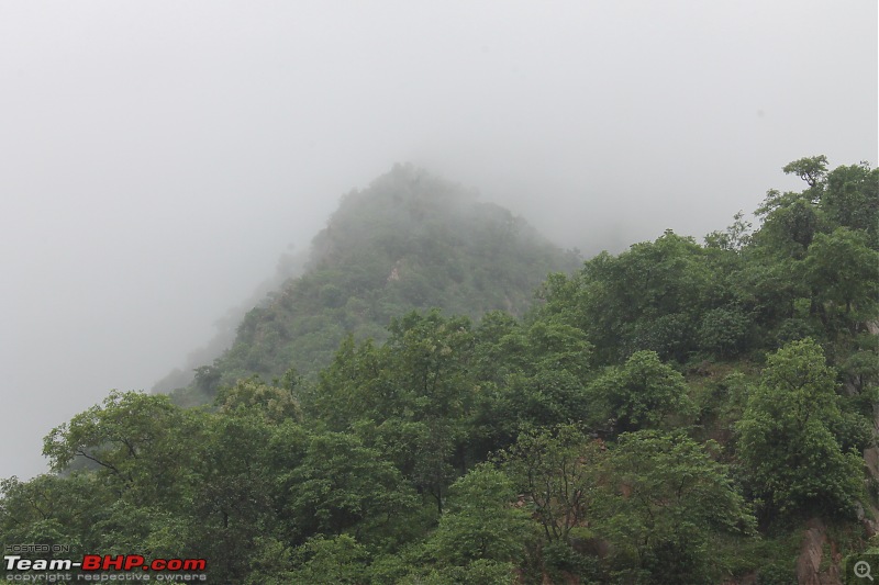 Polo forest, Gujarat: A Janmashtami in the rains-63.jpg