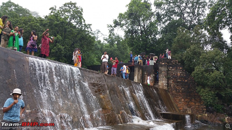 Polo forest, Gujarat: A Janmashtami in the rains-71.jpg