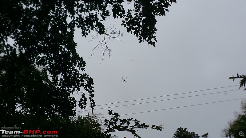 Polo forest, Gujarat: A Janmashtami in the rains-82.jpg