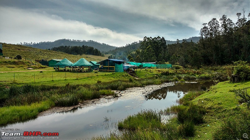 In nature's cradle - Kawasaki chronicles-eco-park.jpg