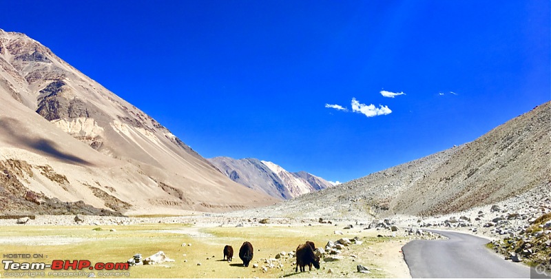 Leh'd on a Royal Enfield Himalayan - 1000 km Travelogue!-imageuploadedbyteambhp1475760490.713782.jpg