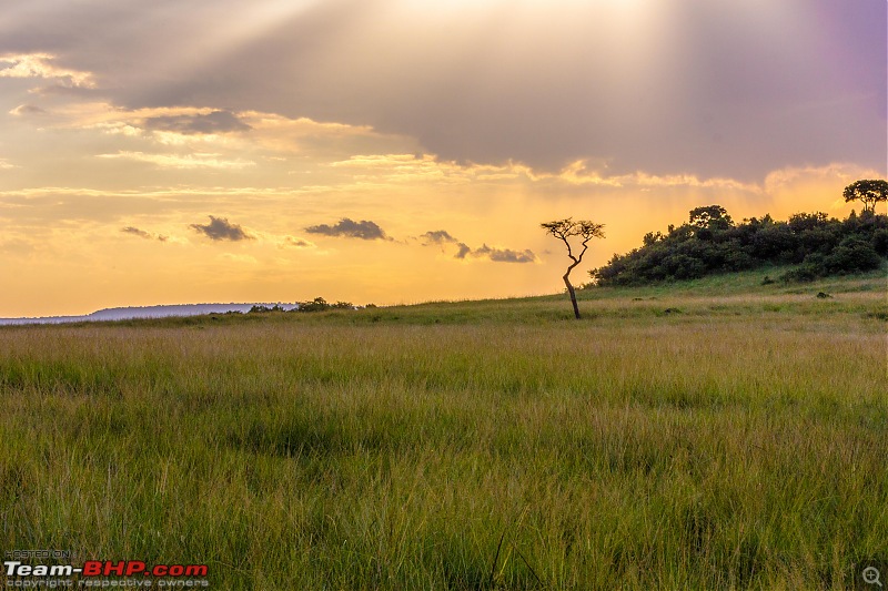 Road-tripping through the African Savanna : Maasai Mara & Zanzibar diaries-img_24843.jpg