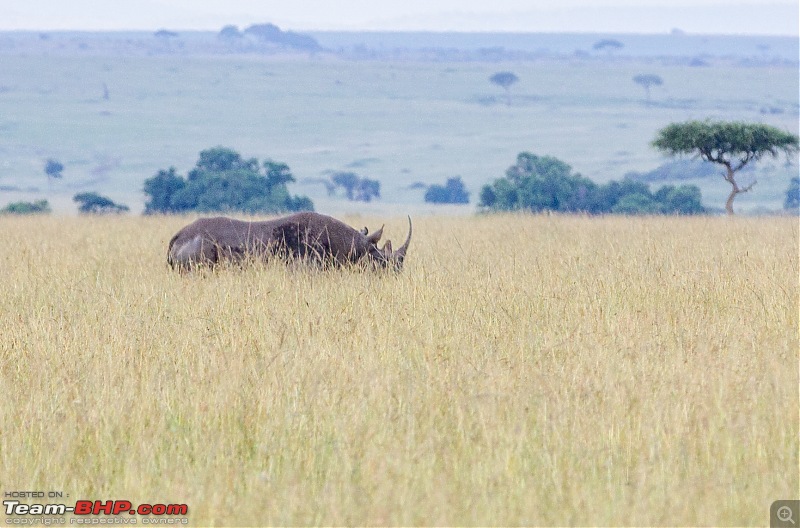 Road-tripping through the African Savanna : Maasai Mara & Zanzibar diaries-img_32692.jpg