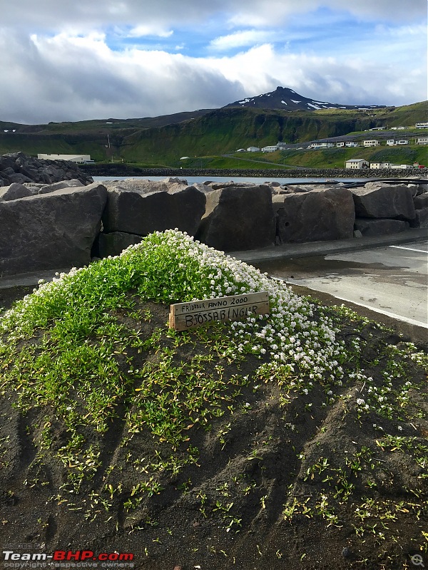 A Roadtrip in Iceland - 66N-20.-grave.jpg